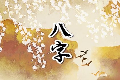 流年运势：动态视角